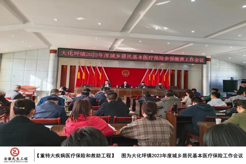 大化坪镇落实重特大疾病医疗保险和救助工程图集